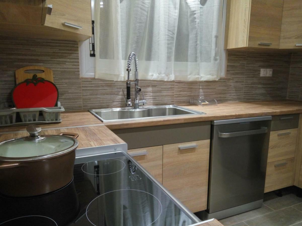 Helios & Elia Family Apartment Liapades Ngoại thất bức ảnh